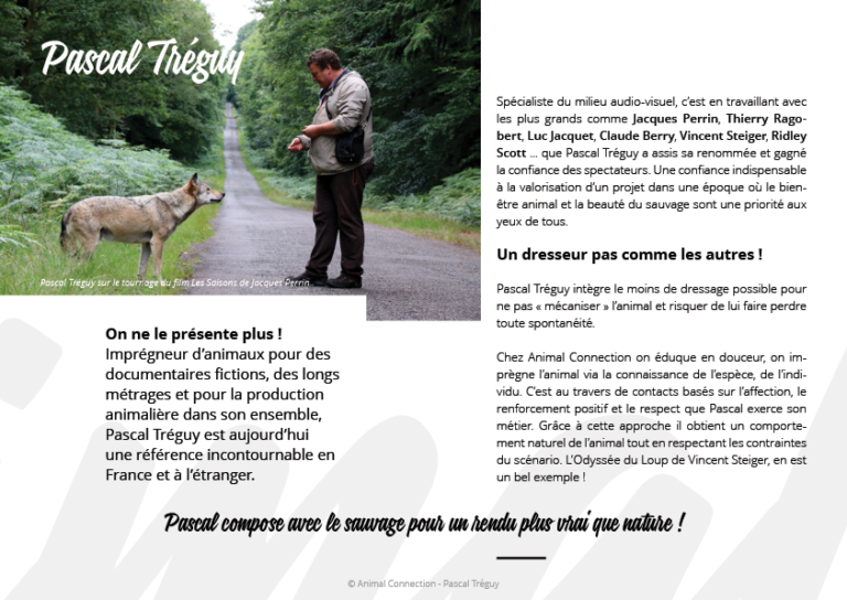 Animal Connection pour le cinéma plaquette